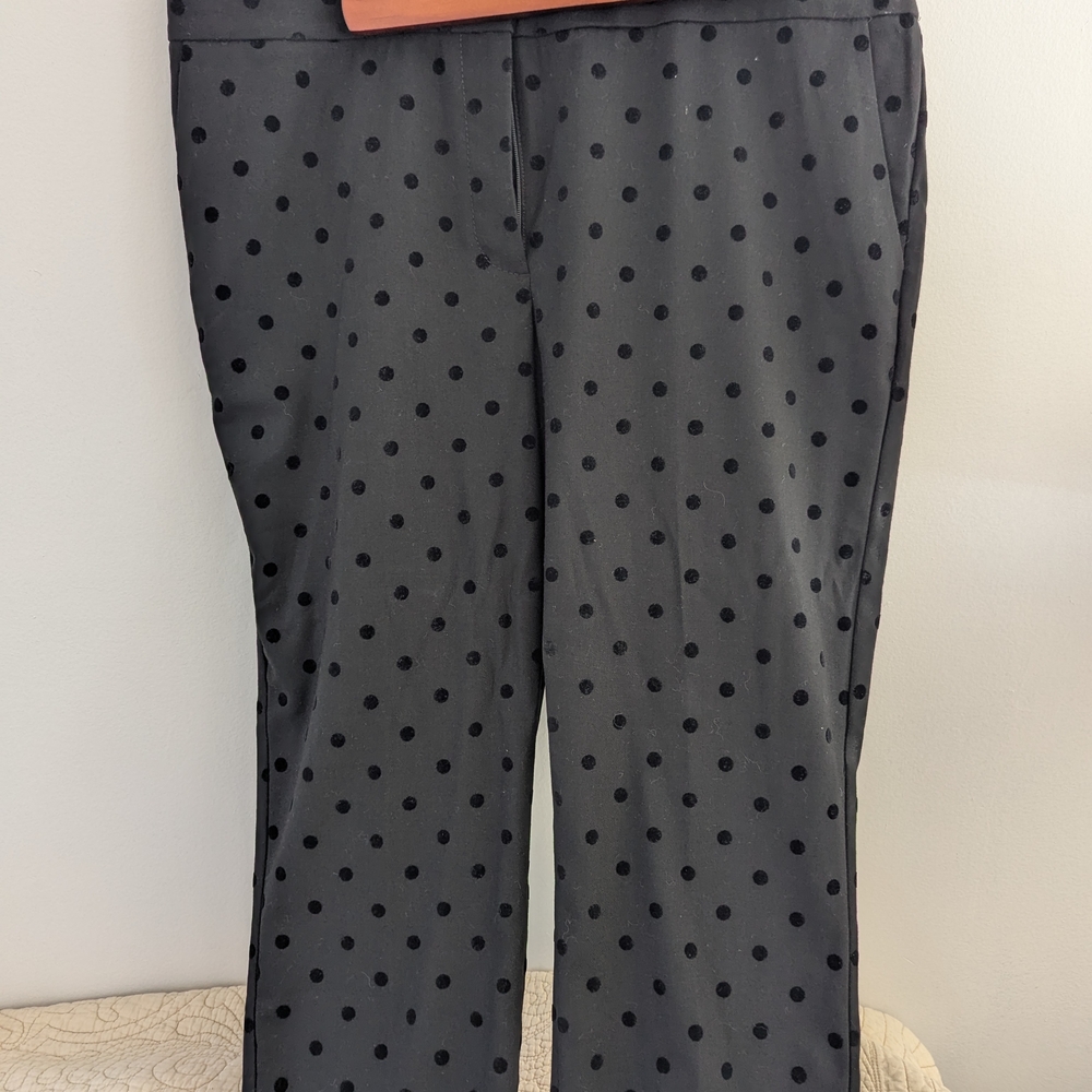 Talbots Black Polka Dot Pants